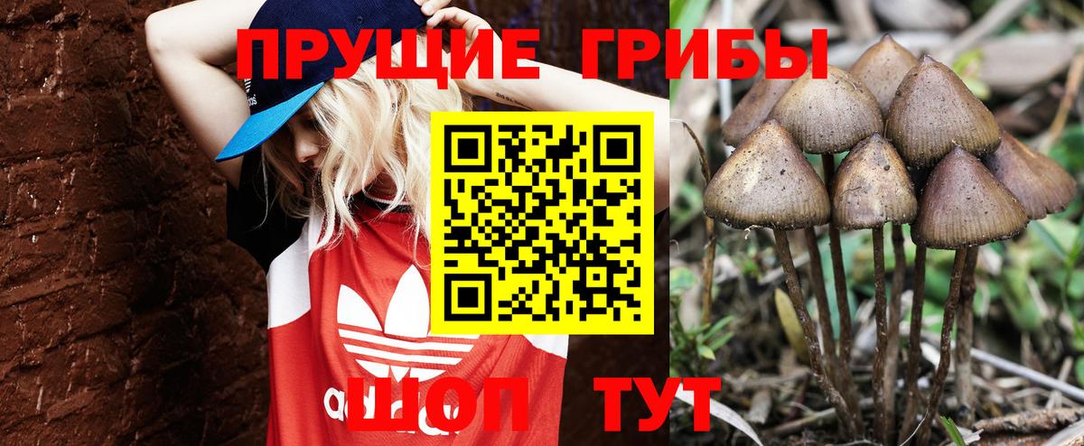 Шебекино  Галлюциногенные грибы Psilocybe  Вход с VPN  Галлюциногенные грибы Magic Shrooms 